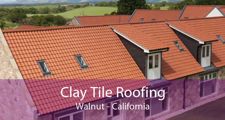 Clay Tile Roofing Walnut - California