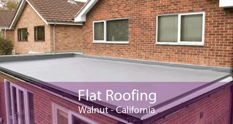 Flat Roofing Walnut - California