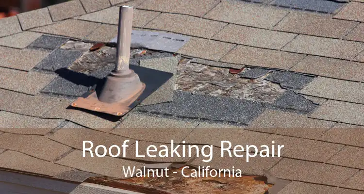 Roof Leaking Repair Walnut - California