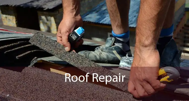 Roof Repair 