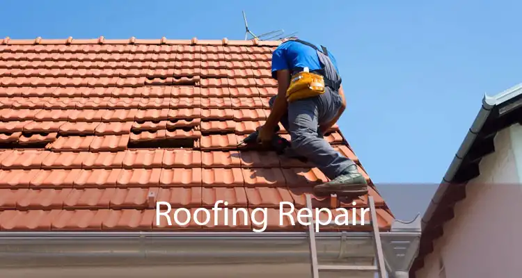Roofing Repair 