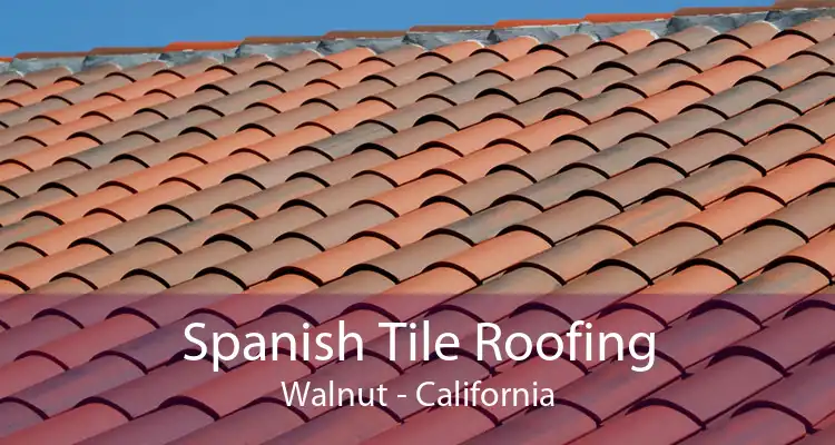 Spanish Tile Roofing Walnut - California