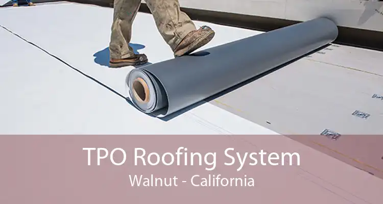 TPO Roofing System Walnut - California