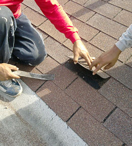 Roof Repair Walnut